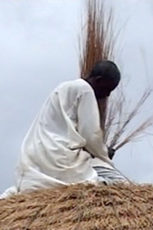 Diyam Wala: Water and Life in Kalfou Cameroon Poster