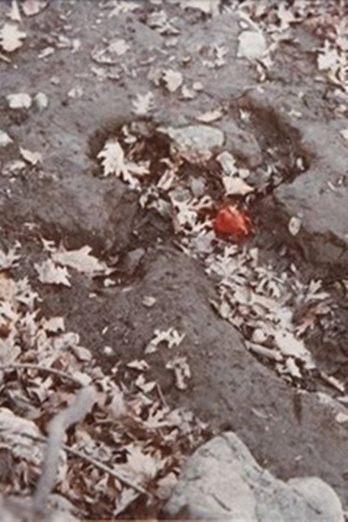 Heart of Rock with Blood Poster