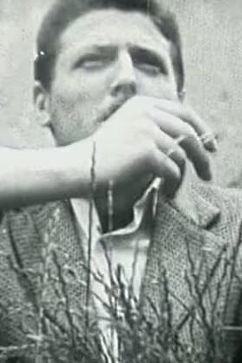 Sunflowers (Prelude, Taenia, Adventure, My Lady) Poster