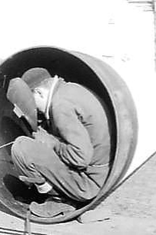 The Dike Builders Poster