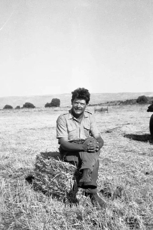 From Here to the Apple Tree Poster