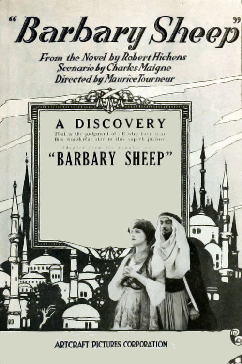 Barbary Sheep Poster
