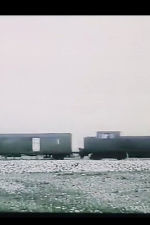 Wild Station Prkos Poster