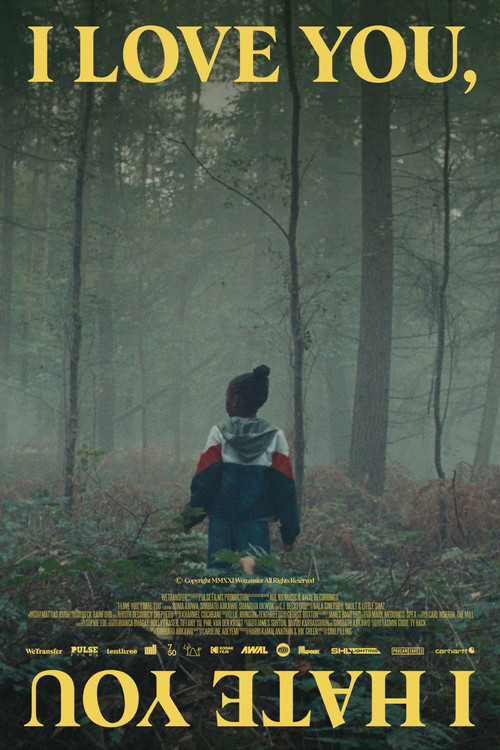 I Love You, I Hate You Poster