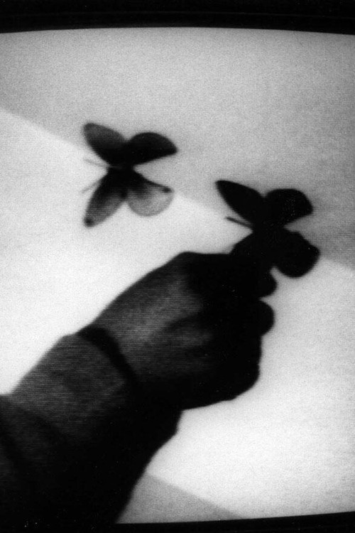 Trace Of Shadow Poster