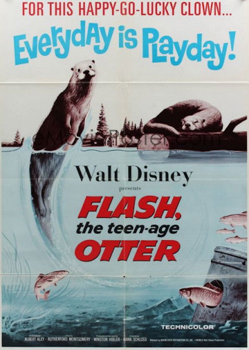Flash, The Teenage Otter Poster