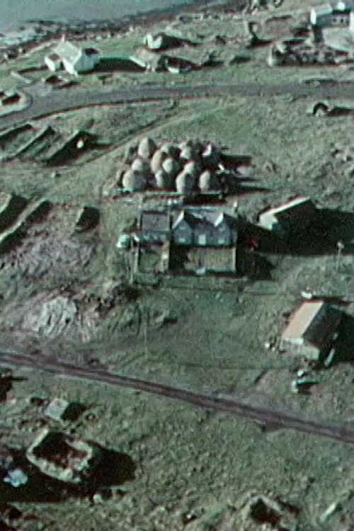 Beyond A Tangled Shore Poster