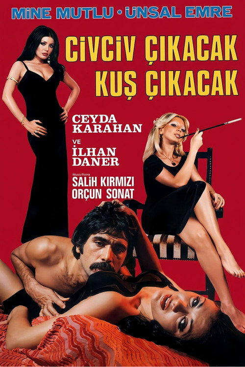 Civciv Çıkacak Kuş Çıkacak Poster