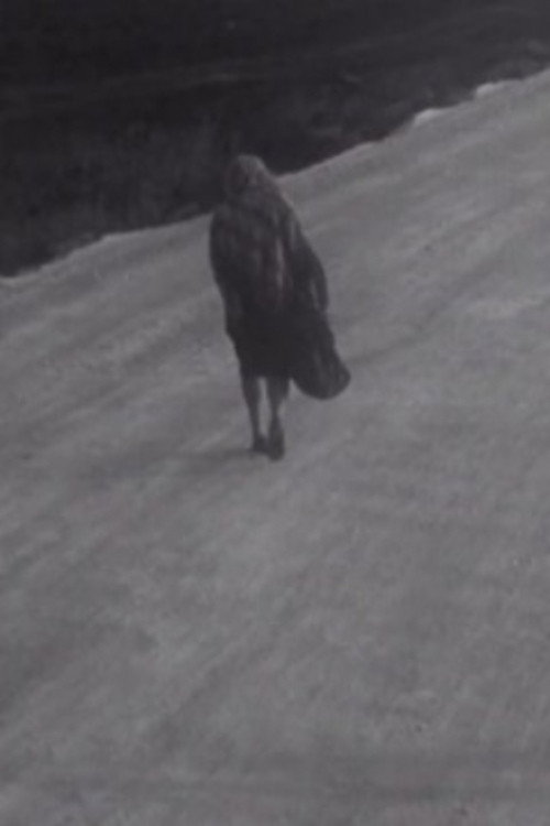 Man and Woman Poster