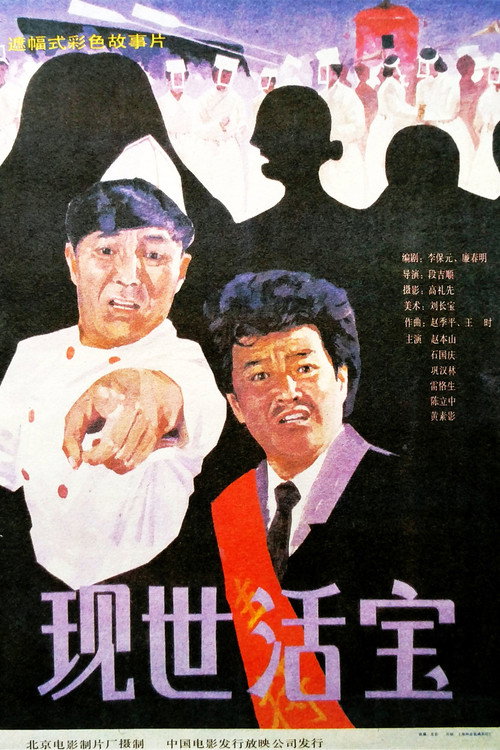 现世活宝 Poster