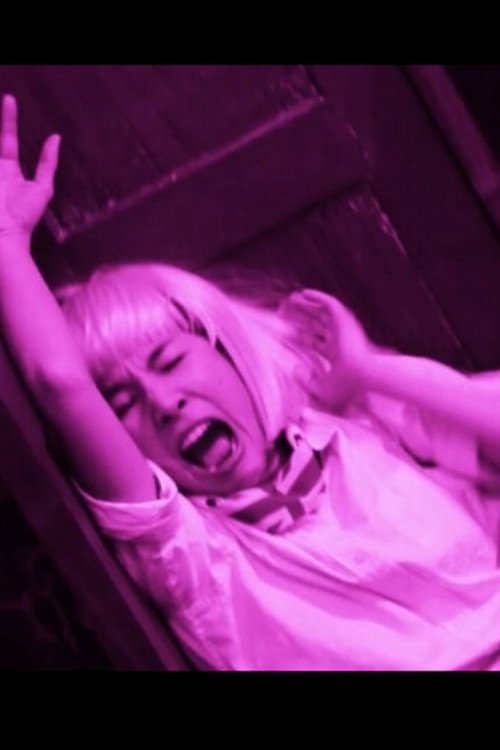 Anna and the Prince Poster