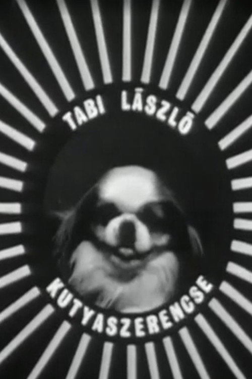 Kutyaszerencse Poster