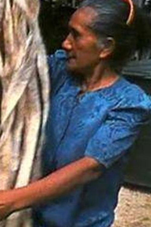 Kuo Hina E Hiapo: The Mulberry is White and Ready for Harvest Poster