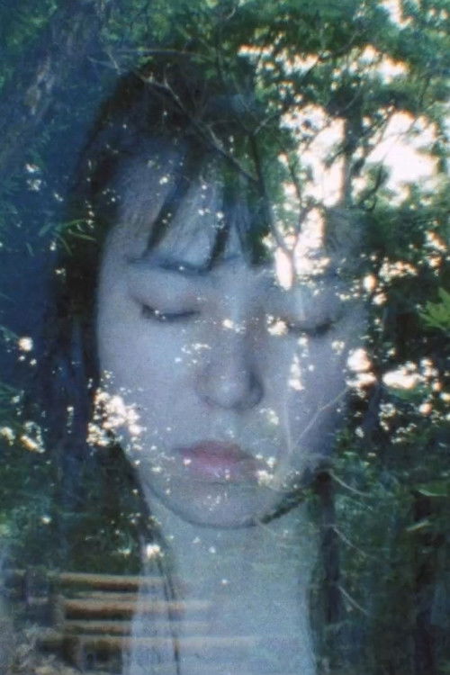 Flying Images Poster