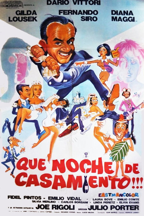 ¡Qué noche de casamiento! Poster
