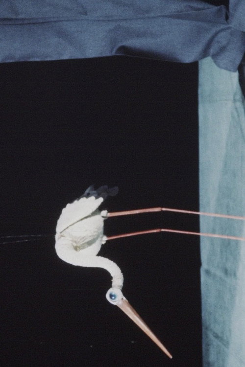 Unima-Festival Poster