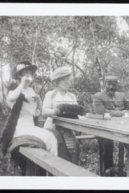 Um domingo em casa de vovô Poster