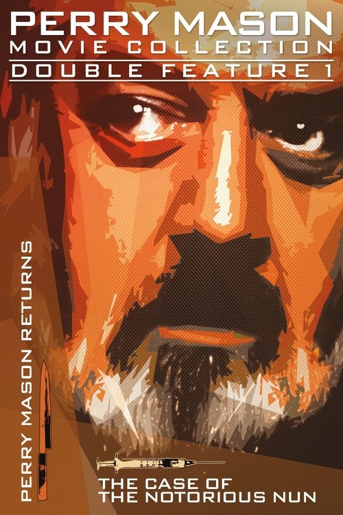 Perry Mason Returns Poster