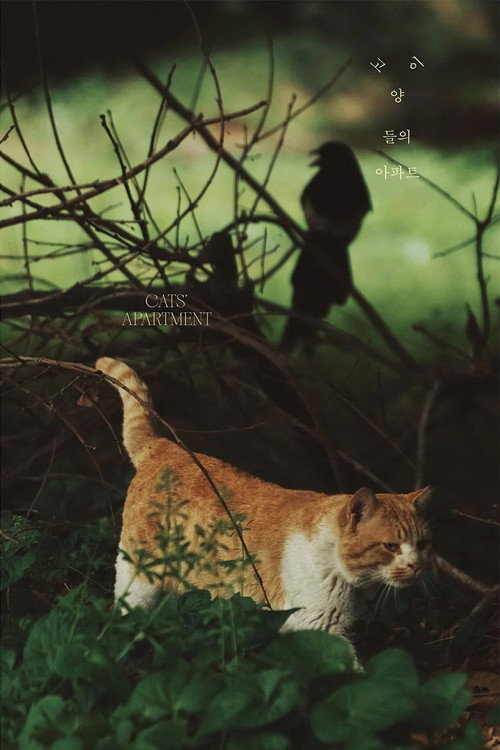 Cats' Apartment Poster