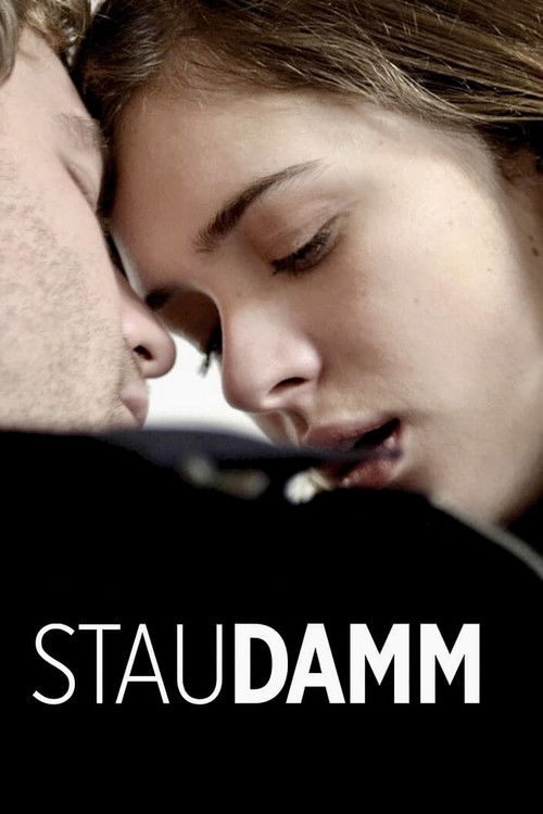 Staudamm Poster
