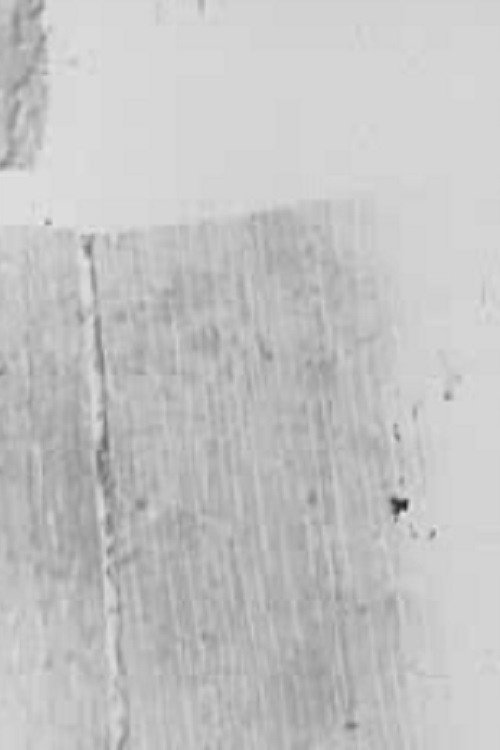 In/Side/Out I Poster