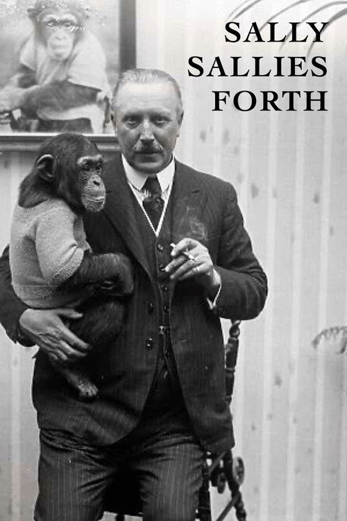 Sally Sallies Forth Poster