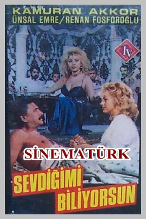 Sevdiğimi Biliyorsun Poster