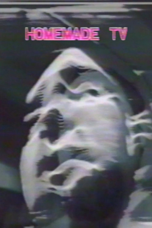Homemade TV: Vasulkas II Poster