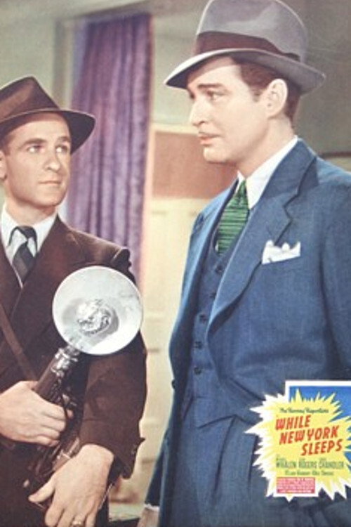 While New York Sleeps Poster