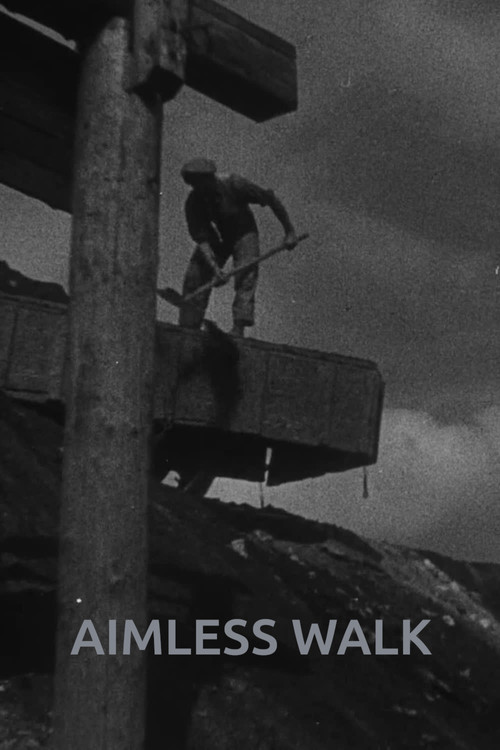 Aimless Walk Poster