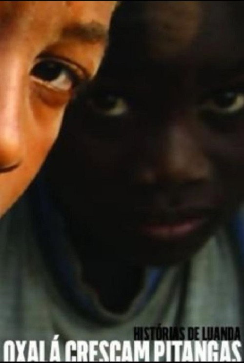 Tales of Luanda: Hope the Pitanga Cherries Grow Poster