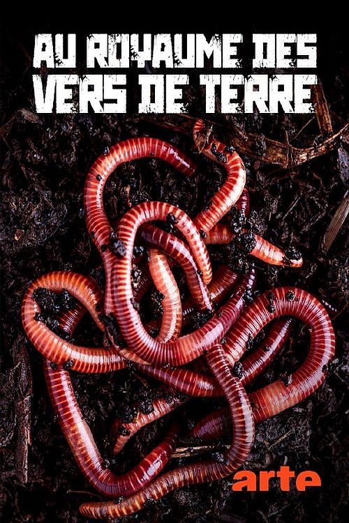Au royaume des vers de terre: La vie du sol dévoilée Poster