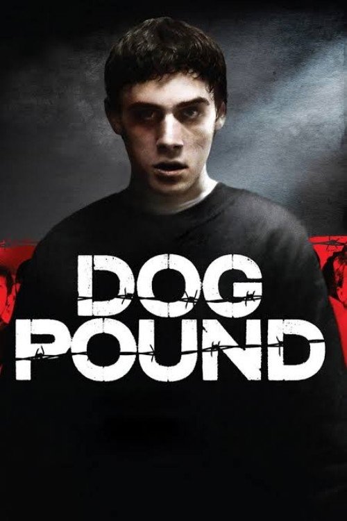 Dog Pound Poster