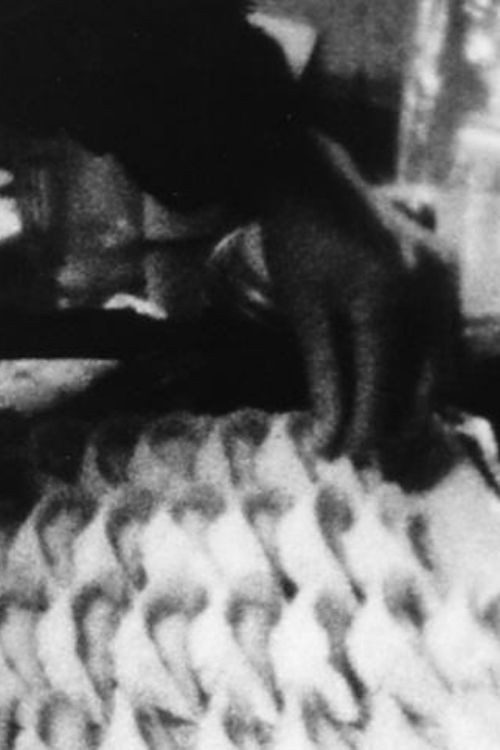 My Mother Makes Dumplings Poster