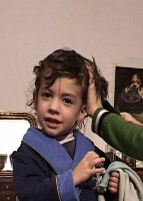 Les cheveux coupés Poster