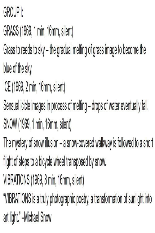 Group I: Grass/Ice/Snow/Vibrations Poster