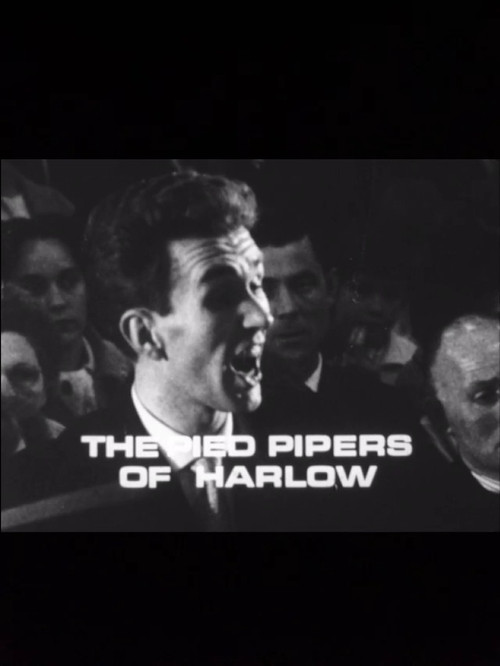 The Pied Pipers of Harlow Poster
