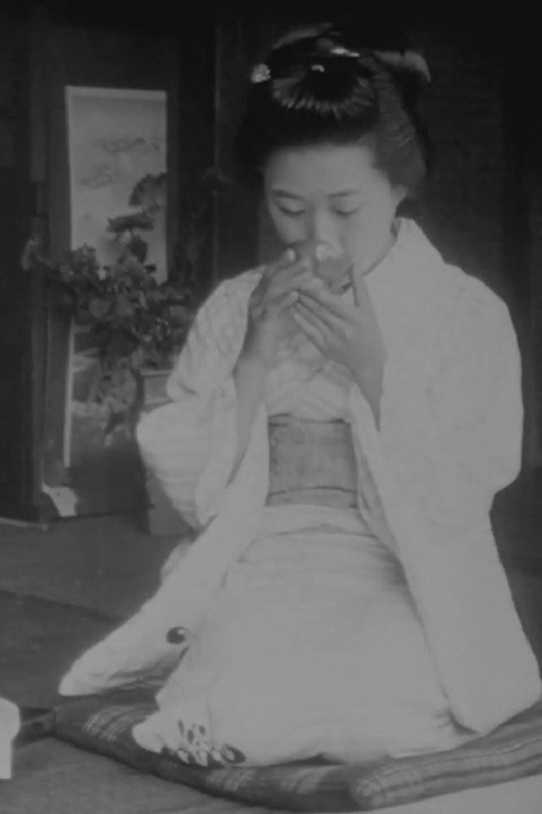 Japanese Types Poster