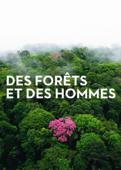 Forests and People Poster