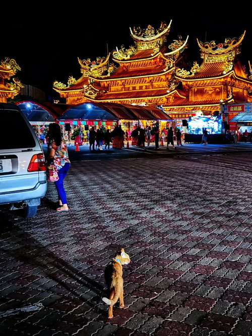 Speck the Night Poster