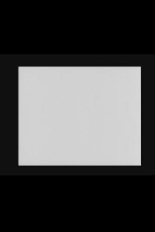 The Flicker Film Poster