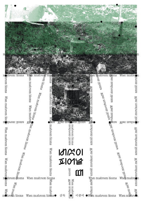 When Mushroom Blooms Poster