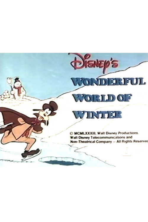 Disney's Wonderful World of Winter Poster