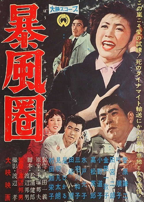 A Storm Zone Poster