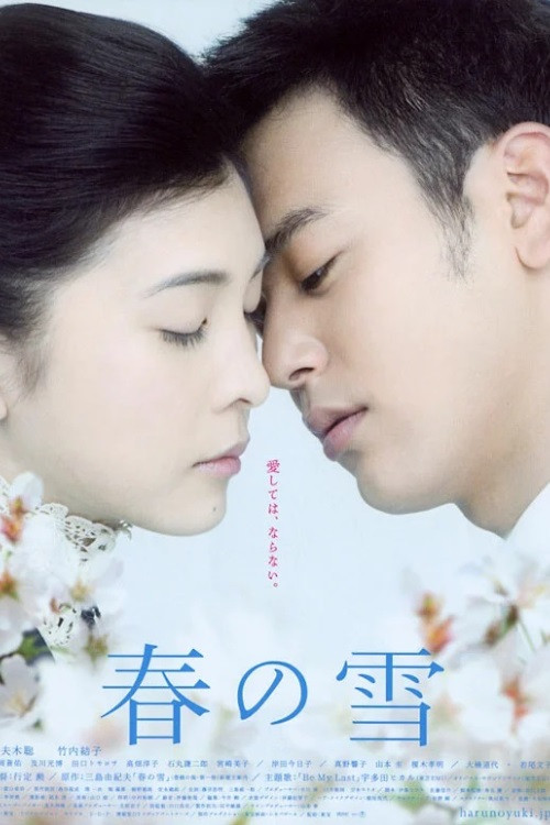 Spring Snow Poster
