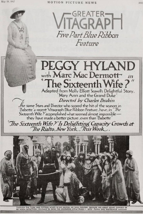 The Sixteenth Wife Poster