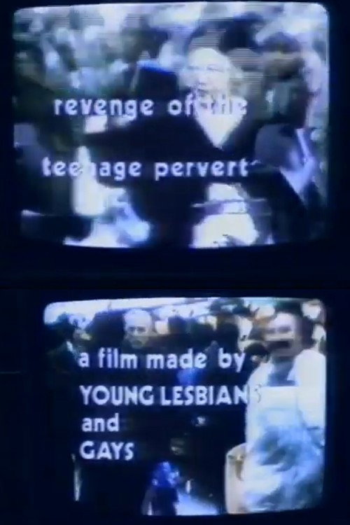 Framed Youth: The Revenge of the Teenage Perverts Poster