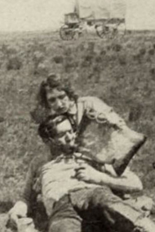 The Brave Deserve the Fair Poster