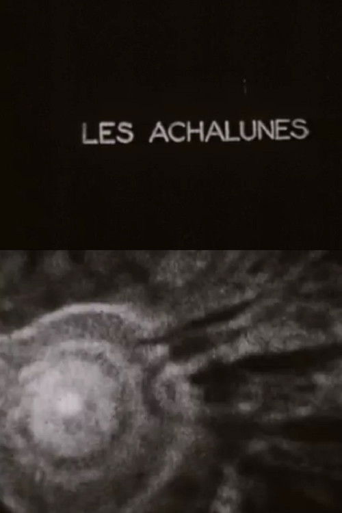 The Achalunés Poster