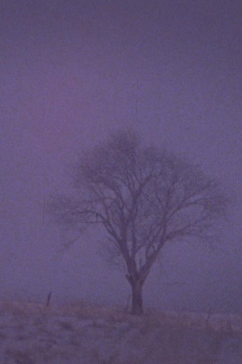 Tree Over the Valley, Eaton Poster